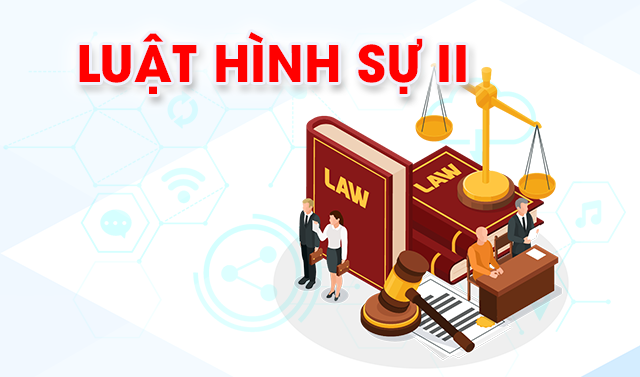 Luật hình sự II